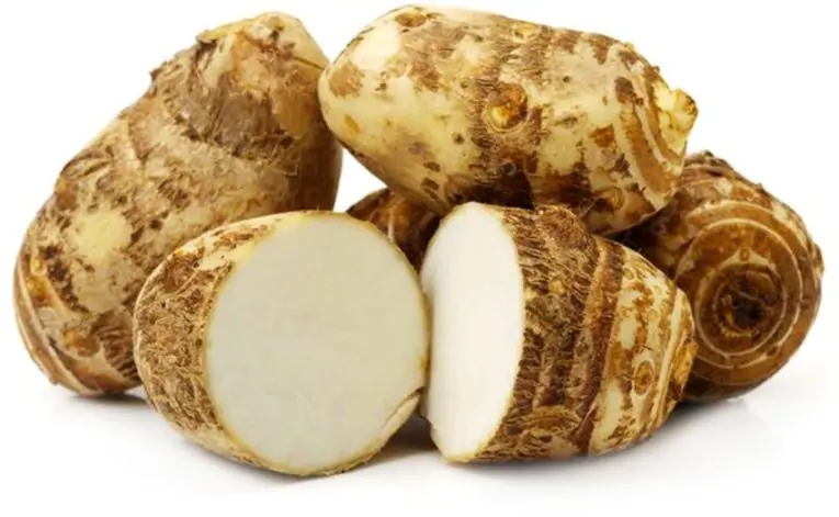 500-colocasia-arvi-un-branded-no-whole-original-imafdsyzgscztczv.jpeg